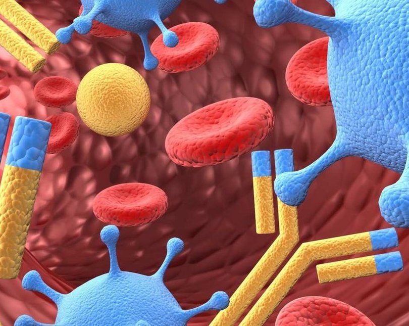 An illustration of cells inside the body