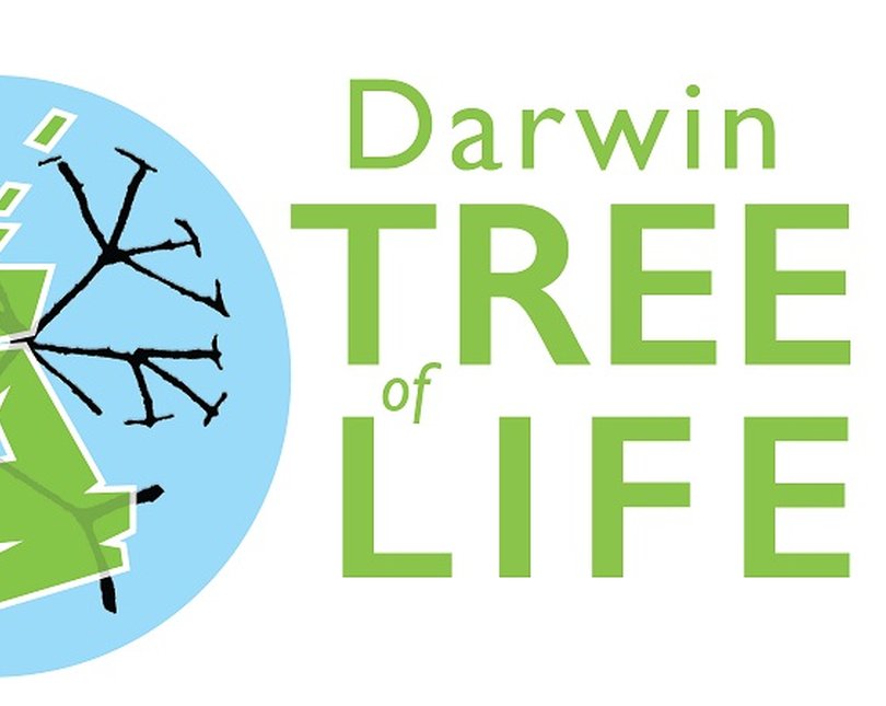 Image shows the logo for the Darwin Tree of Life Project