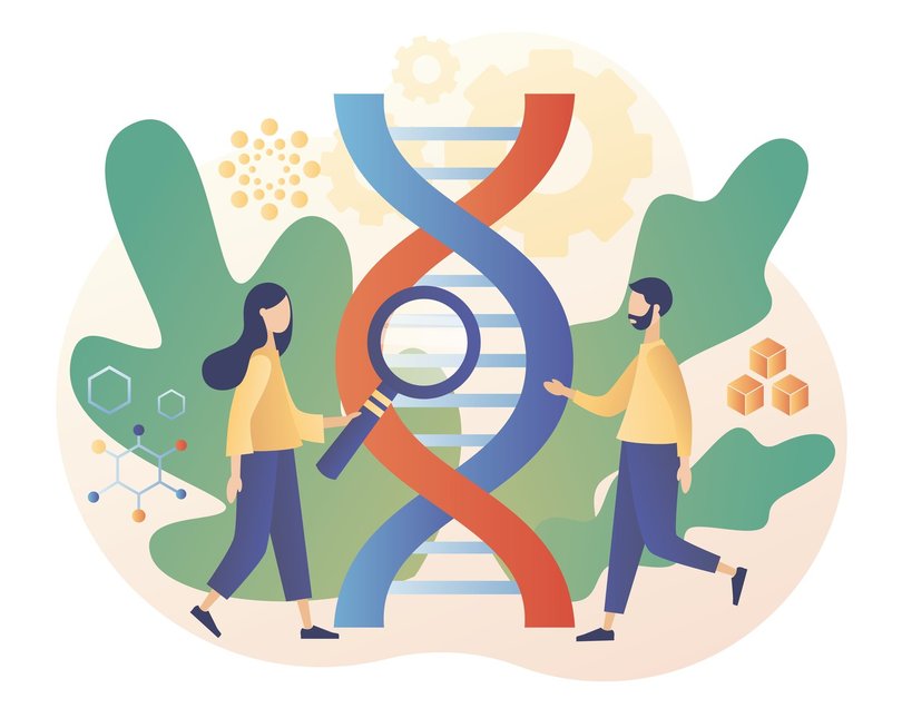 An illustration of two people on either side of a large DNA helix