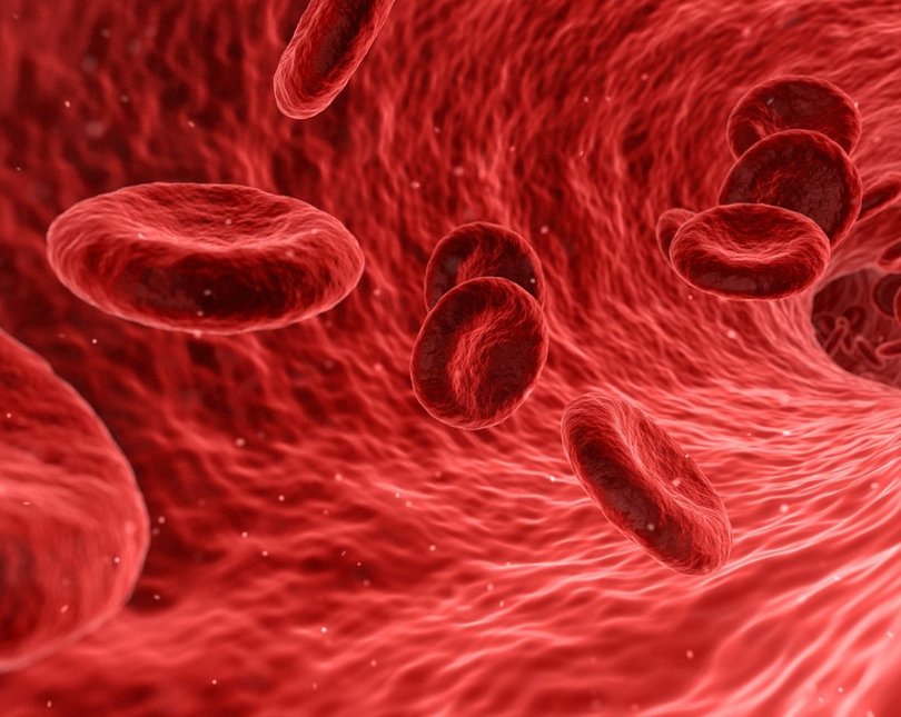 Illustration of red blood cells