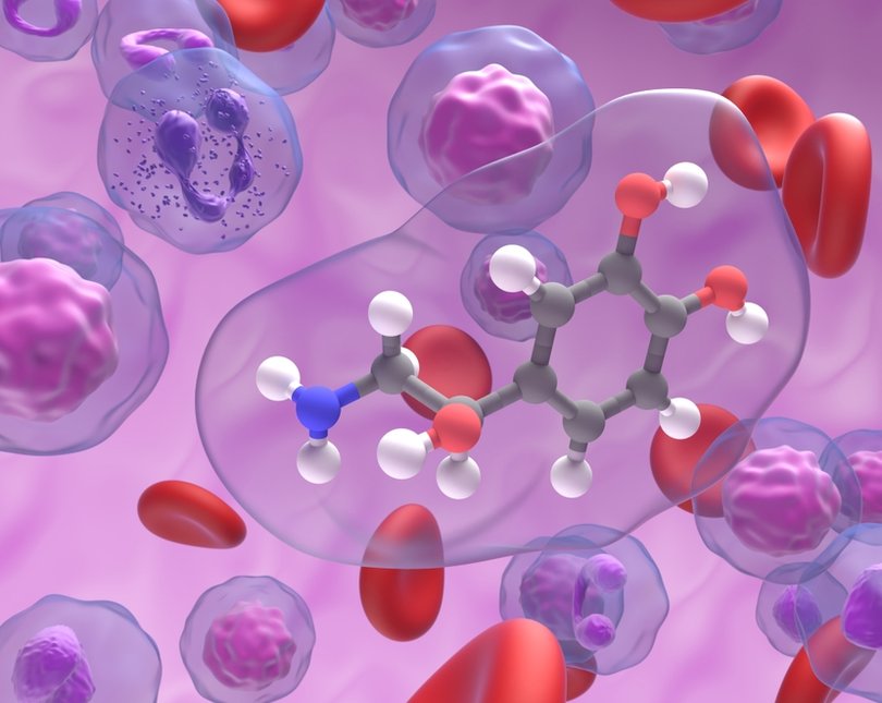 Illustration showing molecule structures and red blood cells on a purple background