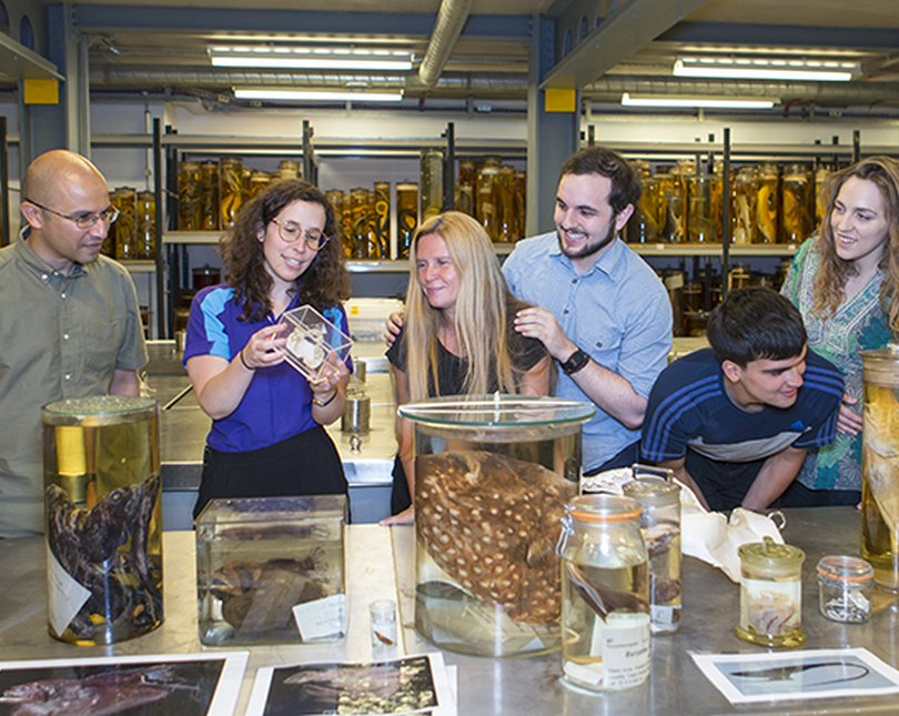 A group of visitors explore specimens at the museum
