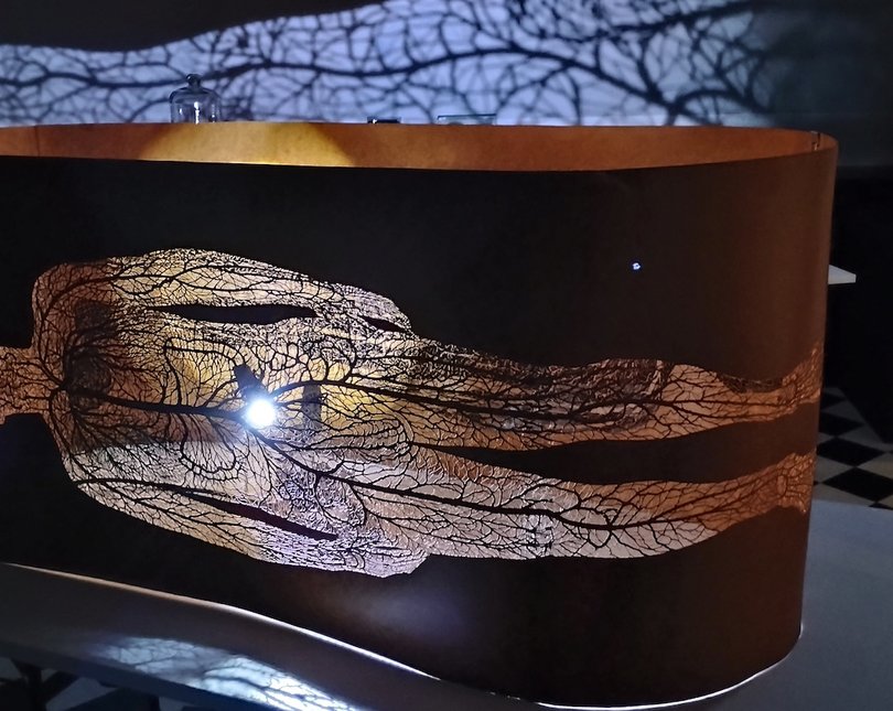 Art installation featuring a outline of a body