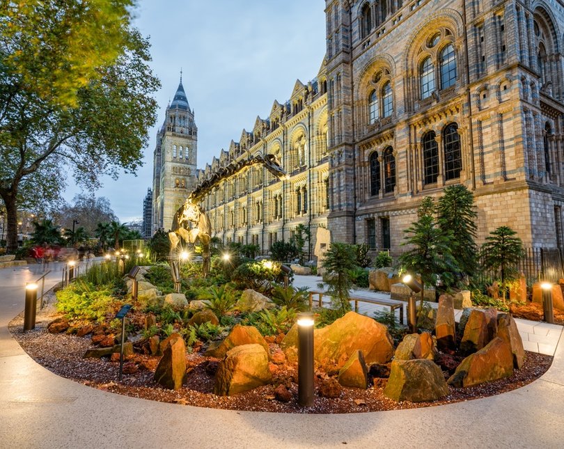 Natural History Museum garden with plants, rocks and paths in the evening