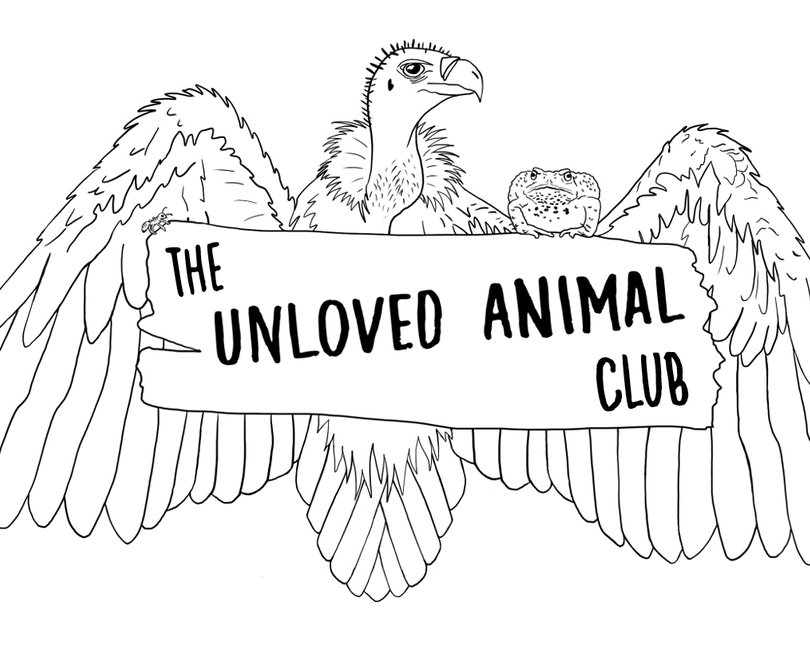 Unloved animal club logo