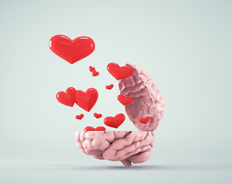 graphic of a brain opening up and hearts floating out of it