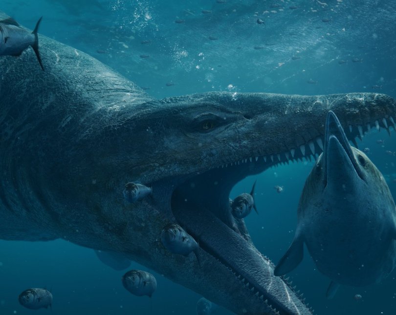 A pleiosaur, open-mouthed, under water