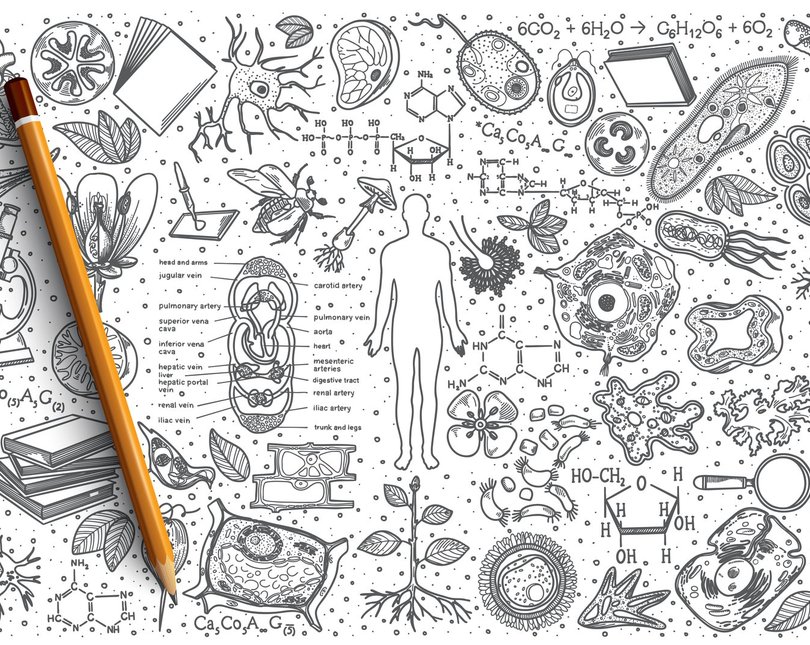 A black drawing of scientific items on white paper with a pencil