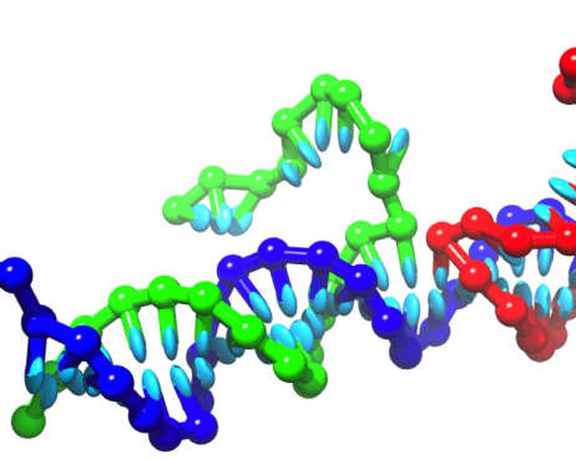 Graphic of DNA strands in blue, red and green