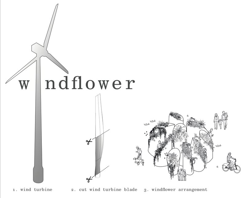 Windflower diagram