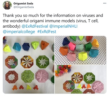 Tweet about origami immune cells